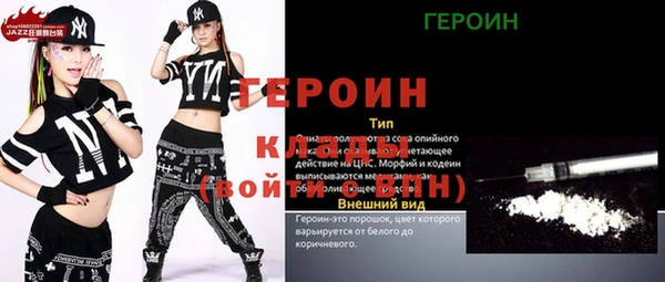 spice Инта