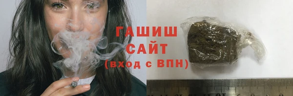 spice Инта