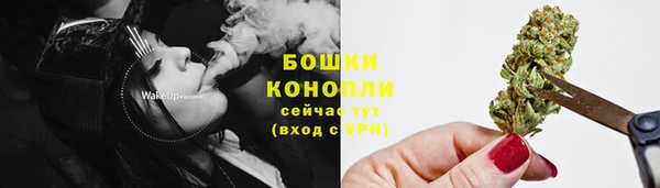 spice Инта