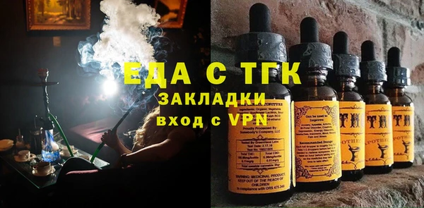 spice Инта