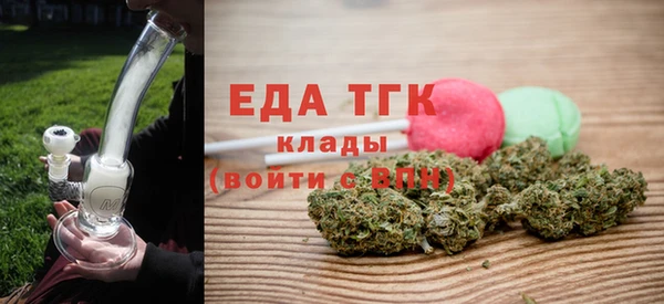 spice Инта
