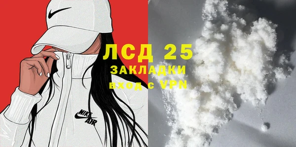spice Инта