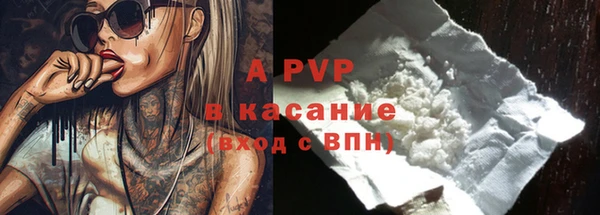 spice Инта