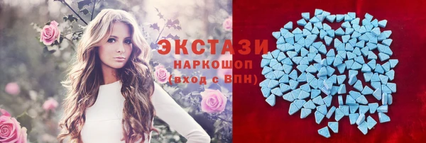 spice Инта